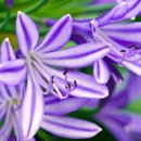 합기도예무관 이미지