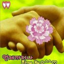 썬바이오 의료기 이미지