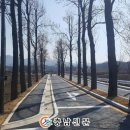 시도15호선 이미지