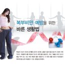 복부비만 예방을 위한 바른 생활법 이미지