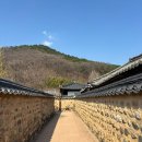 대구보조기 | [공지] [대구 달성군] 대구 가볼만한곳 매화명소 남평문씨 본리세거지 방문후기