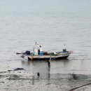 장고항2리 이미지