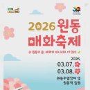 진사농장 | 🌸3월 봄꽃축제 "2026 양산 원동 매화축제"🌸
