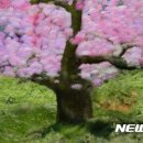 사진이야기 - 제주시 관덕로 36 | 사진이야기