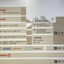 보브롯데고양