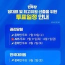 더불어민주당 전당대회 충청권 영남권 에 이어 마지막당대표 및 최고위원 선출을 위한 투표일정 안내 이미지