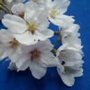 대야농협주유소 이미지