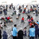 남도 최대 수산물 축제 보성 ‘벌교꼬막 축제’ 30일 개막 이미지