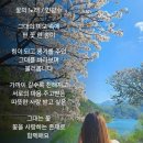 꽃의 노래 이미지