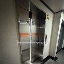 바른손 어린이집 | [인천새댁] 8월 이모저모