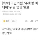 국민의힘, '주호영 비대위' 위원 명단 발표 (명단을 보니 ㄹㅇㅋㅋ) 이미지