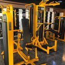 레몬핏 휘트니스 이미지