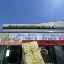 송악산 숲길 | 6월 제주 올레길 10코스 후기