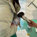 삼막7 | 안양 삼막애견공원 무료 반려견놀이터 주말 후기 (주차, 운영시간, 준비물)
