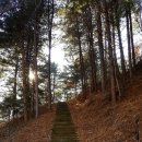 유남장여관 | 어 우 유 몽인 전기