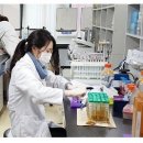 유나이티드제약 캄보디아서 항생제 심포지엄 개최＃＃＃ 이미지