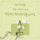 로하스의원 이미지