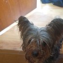 넌 내게 반했어~ 이미지