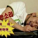 코코들 이미지