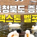 증평세차장 이미지
