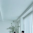투다리 신정점 이미지