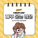 메이에르(Meilleur) 이미지