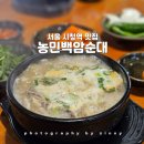 시청역맛집 줄서서먹는 농민백암순대 솔직후기