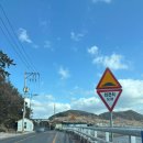 그곳에 그집 이미지