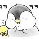 멍멍아 또 와 이미지