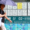 우리집부동산중개사무소 세계일보