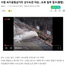 숙지공원 삼거리1 티스토리