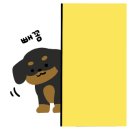 톰과 제니 동물메디컬센터 이미지