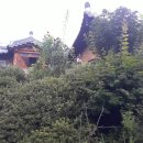 중앙탑면사무소 이미지