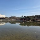 비소(장군)-호-1 | 까치 까치 설날 (2월 16-18일)