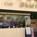 비비드13(vivid13) 이미지