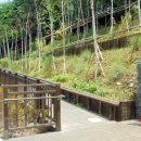 우면산 (서초약수터) 이미지