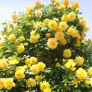 기쁘고즐거운도서관 이미지