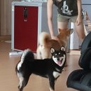 은애 이미지