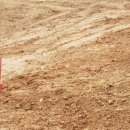 춘길농장 이미지