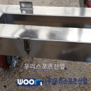 일신여자상업고등학교 이미지