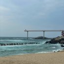 거일리 | 바닷가 국내여행지 추천ㅣ경북 울진 후포 여행 1박2일 코스