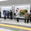 강서구립화곡노인복지센터 이미지