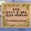 인투그린 이미지