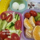 원일환경(주) - 2334 | 6월 1주 차 운동 인증 및 성찰｜근테크 운동 일지 14주 차 기록