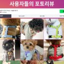 플레이 바우 이미지