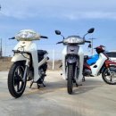 대림카모터스 이미지