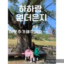 캐리와 친구들 2022 | 캐리와 친구들 2022 콘서트를 지켜라 공연 후기- 어린이 뮤지컬