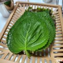 옥수숯불구이 이미지