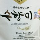 골든광택 | 팝콘향 나는 밥맛 좋은 햅쌀 농협 수향미 골든퀸 3호 4kg 내돈내산 후기