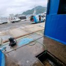 골드수산 네이버블로그